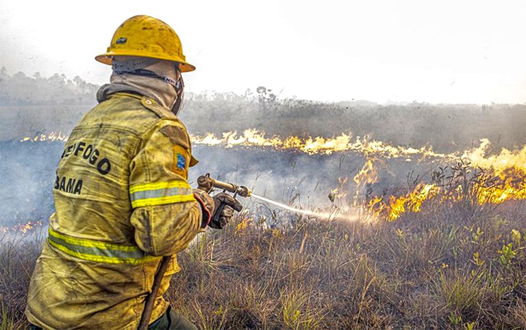 Governo já controlou ou extinguiu 70% dos incêndios na Amazônia, Pantanal e Cerrado