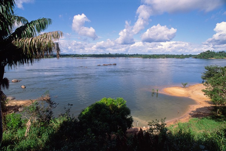 BNDES seleciona projetos de restauração ecológica na bacia hidrográfica do Xingu, nos estados do PA e de MT