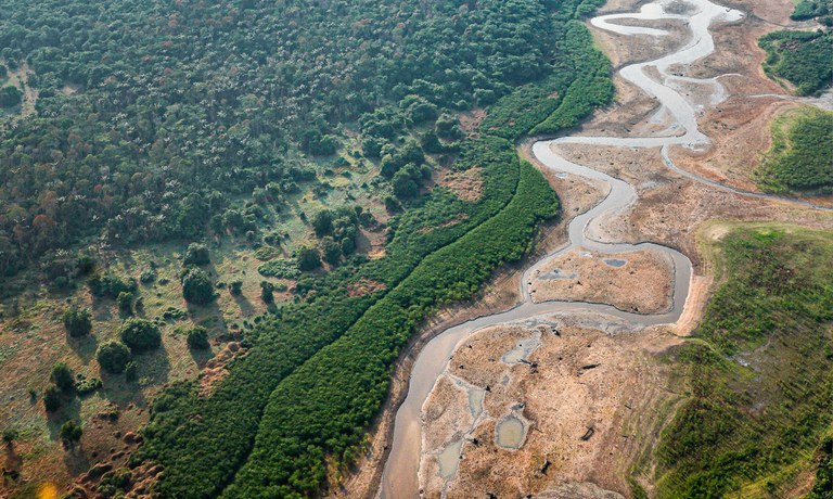 Governo Federal libera mais de R$ 938 milhões para ações na Amazônia e Pantanal