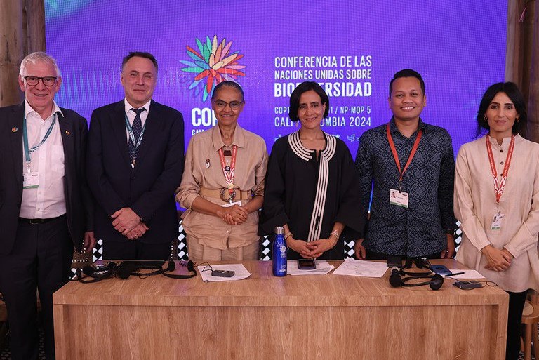 Na COP 16, cinco países confirmam apoio ao Fundo de Florestas Tropicais