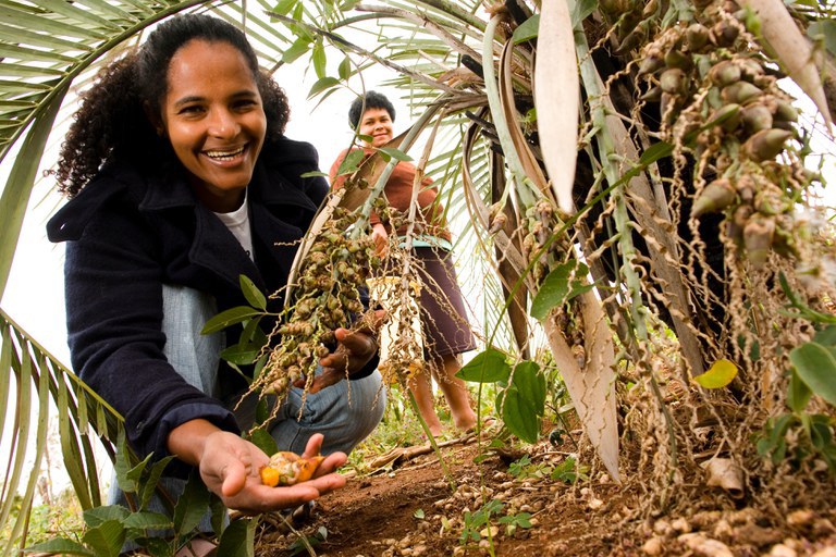 Os pilares da agricultura familiar como base da segurança alimentar e da sustentabilidade