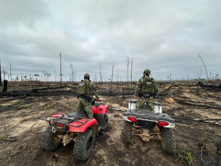 PF prende dois por desmatar e incendiar 953 hectares em gleba pública no Acre