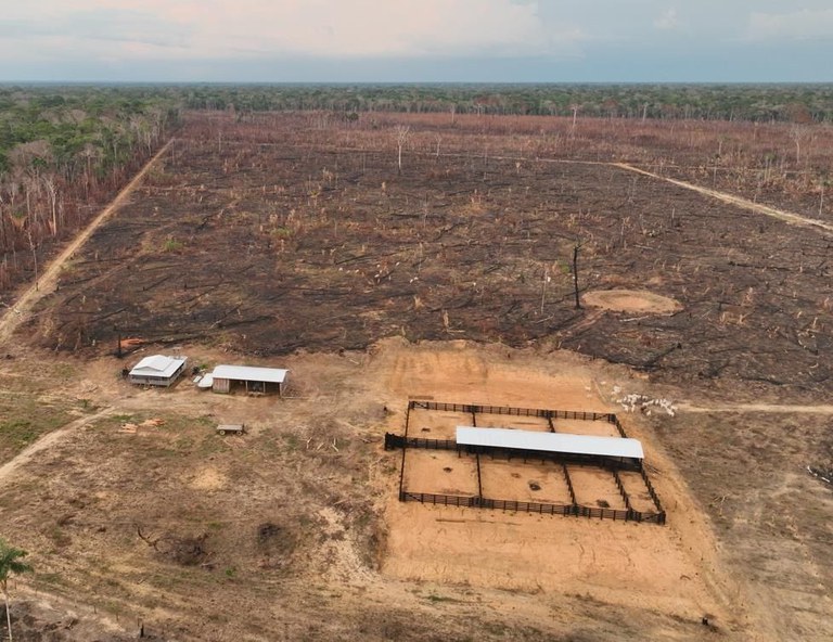 PF faz operação contra queimadas e desmatamento na região amazônica