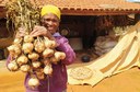 Quilombolas do Médio Jequitinhonha realizam 1ª colheita de alho livre de vírus