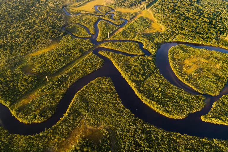 Com R$ 882 milhões, Fundo Amazônia atinge recorde histórico de aprovações este ano