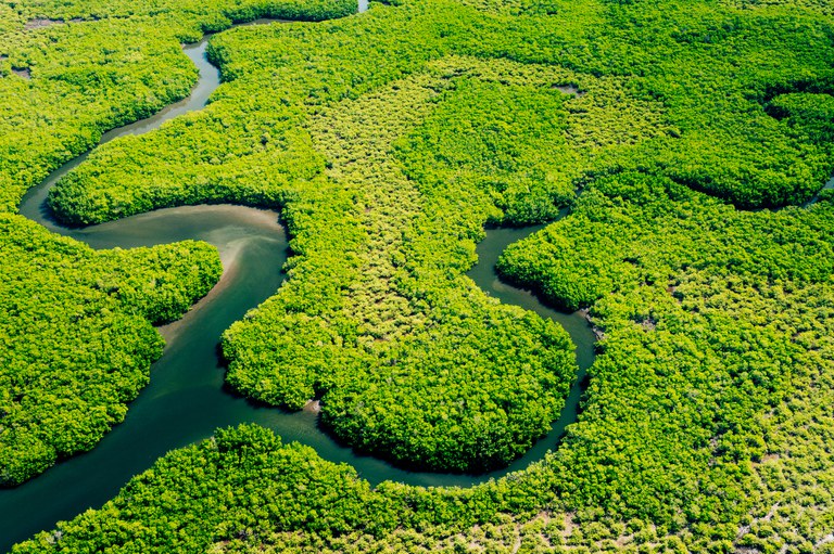 Desembolsos do BNDES para Amazônia Legal já superam os R$ 10 bi em 2024