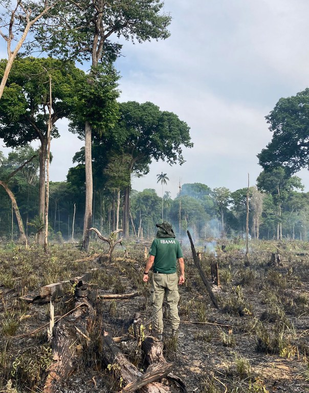 Desmatamento ilegal no Amazonas: fiscalização aplica R$ 765 mil em multa e promove 10 embargos