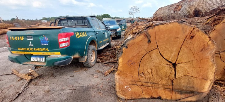 Ibama embarga mais de 600 hectares de mata nativa desmatada ilegalmente no Pará