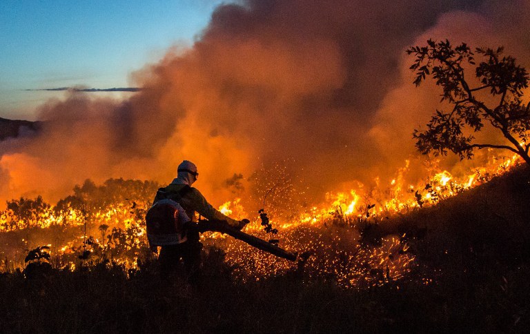 ICMBio lança sistema para monitoramento de áreas afetadas por incêndios em unidades de conservação federais