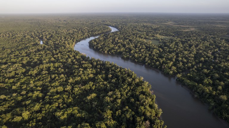 Petrobras e BNDES fazem nova parceria para restauração ecológica na Amazônia