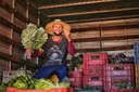 BNDES e Petrobras lançam edital de R$ 100 mi para fortalecer produção coletiva de alimentos saudáveis no semiárido BNDES e Petrobras lançam edital de R$ 100 mi para fortalecer produção coletiva de alimentos saudáveis no semiárido