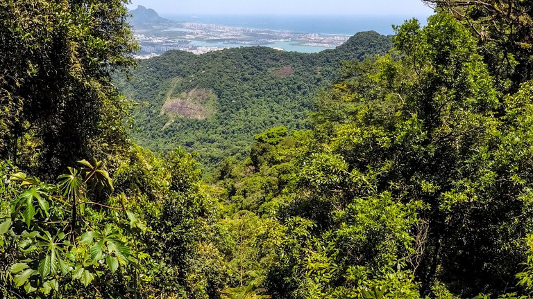 BNDES e Estado do Rio de Janeiro lançam novo edital do Floresta Viva de R$ 60 milhões para restaurar a Mata Atlântica