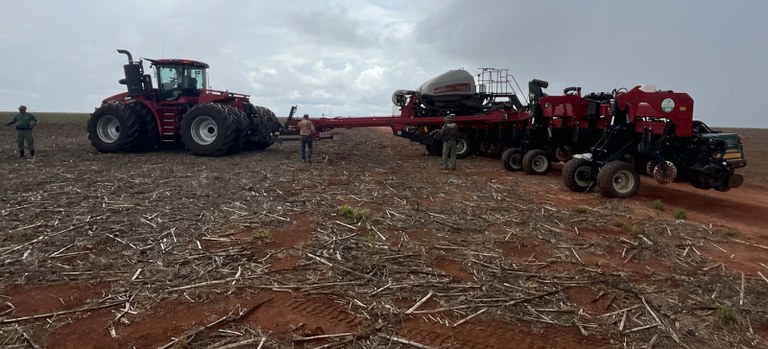 Desmatamento ilegal no Cerrado gera R$ 206 milhões em multas