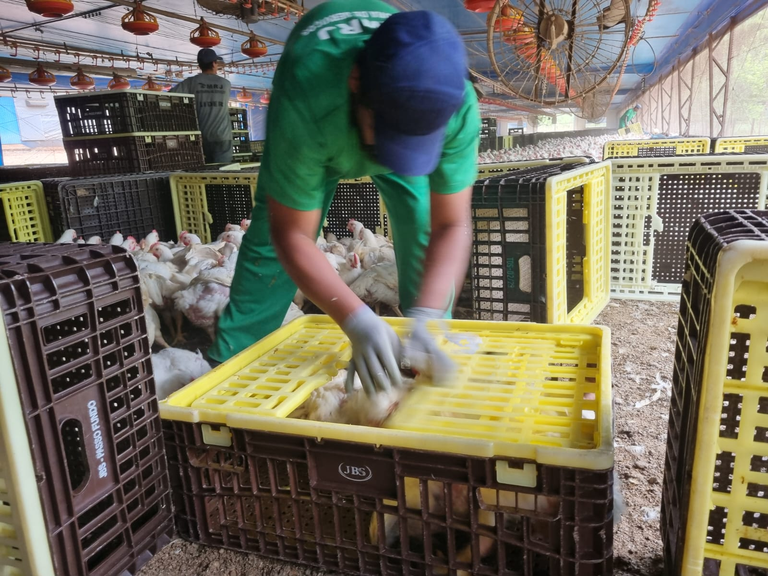 Dez trabalhadores são resgatados de condições de trabalho análogas à escravidão no Rio Grande do Sul