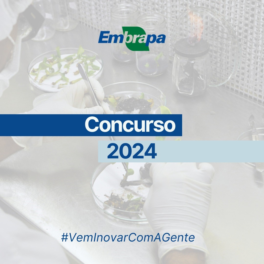 Embrapa abre concurso público para 1.027 vagas. Inscrições podem ser realizadas a partir de 16/12 — Agência Gov
 #ÚltimasNotícias #Brasil