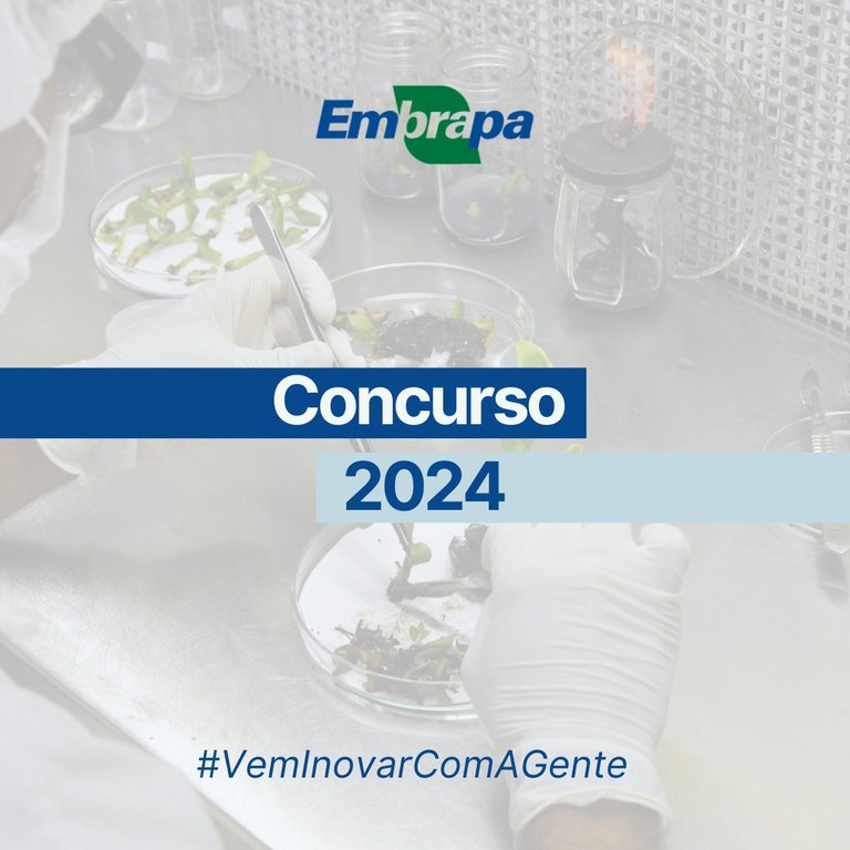 Embrapa abre concurso público para 1.027 vagas. Inscrições podem ser realizadas a partir de 16/12