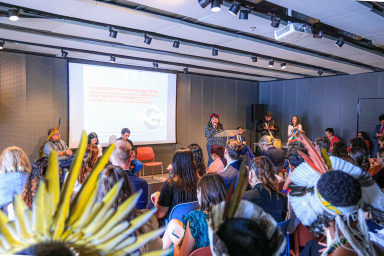 Funai defende protagonismo indígena para a COP30 e destaca demarcação de terras como estratégia climática Funai defende protagonismo indígena para a COP30 e destaca demarcação de terras como estratégia climática
