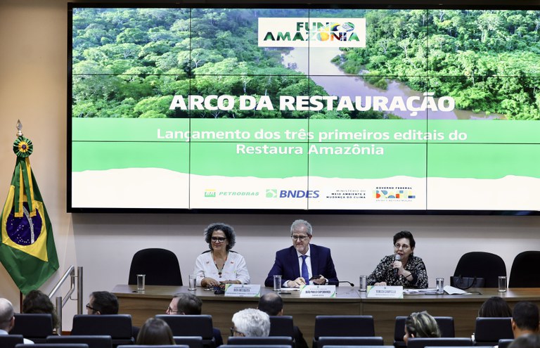 MMA e BNDES lançam os primeiros editais para restauração da Amazônia