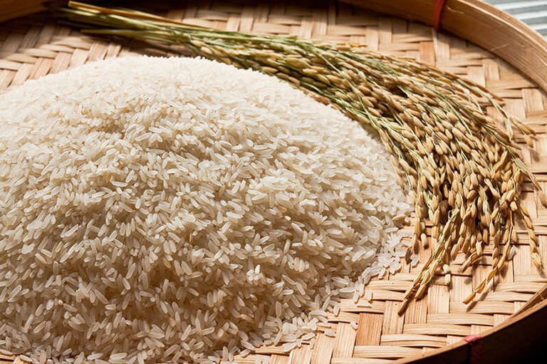 Novos leilões de contrato de opção de venda de arroz são marcados para próximo dia 20