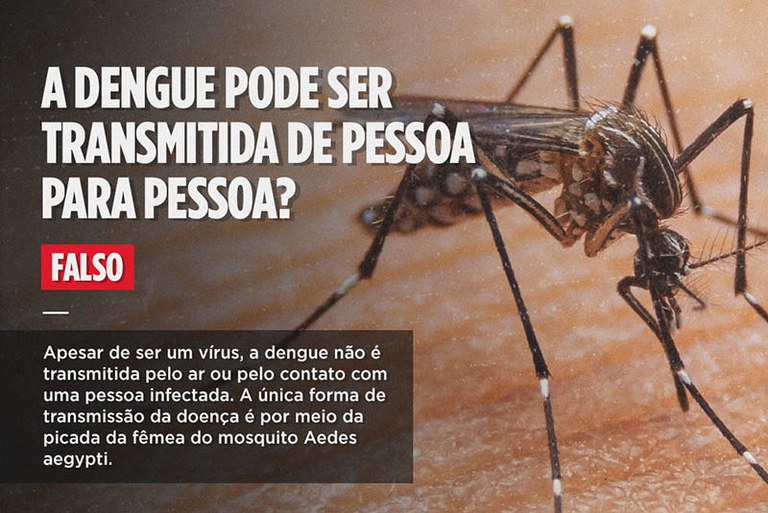 peguntas e respostas sobre a dengue