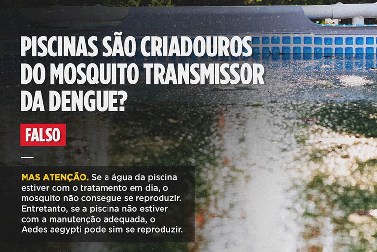 peguntas e respostas sobre a dengue