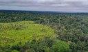 Presidente Lula sanciona lei que cria mercado regulado de carbono no Brasil Presidente Lula sanciona lei que cria mercado regulado de carbono no Brasil
