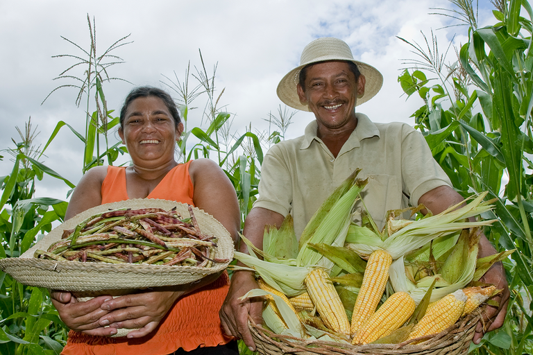 Primeiro ano da Política Nacional de Abastecimento Alimentar reforça segurança alimentar