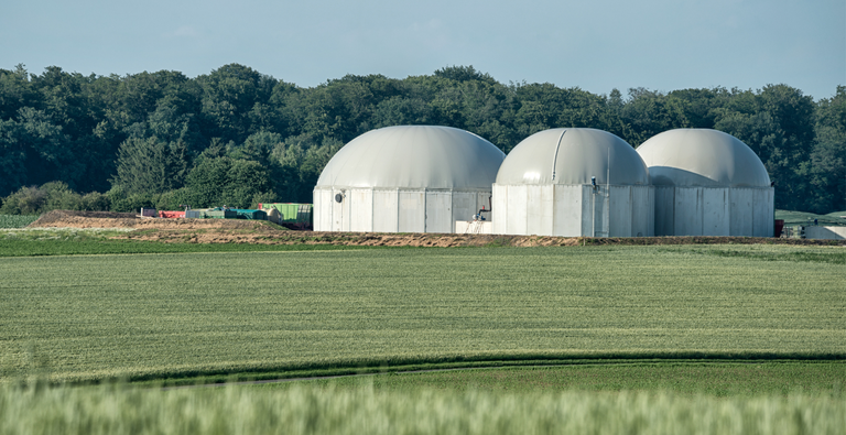 Lei do Combustível do Futuro impulsiona nova indústria verde e já apresenta resultados no Brasil