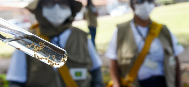 Entenda porque os casos de dengue aumentam no verão. E se proteja