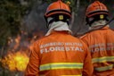Governo Federal destina 45 milhões para fortalecer combate e prevenção a incêndios no Mato Grosso