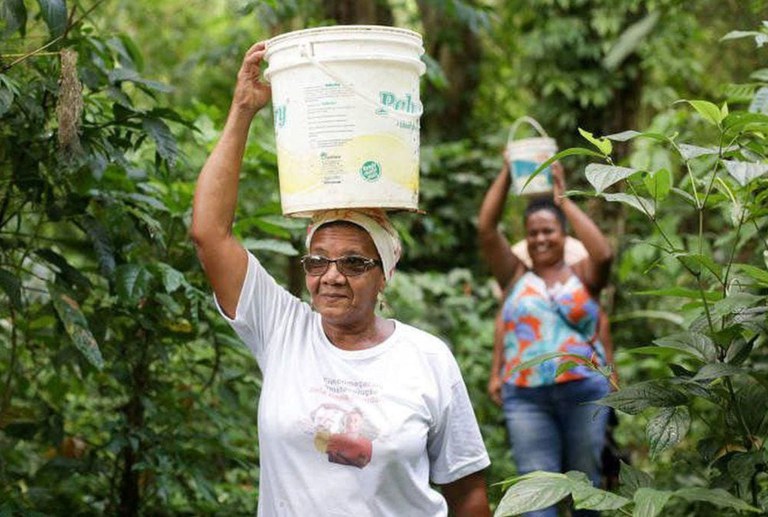 Confira organizações quilombolas aptas a compor comitê nacional da gestão territorial