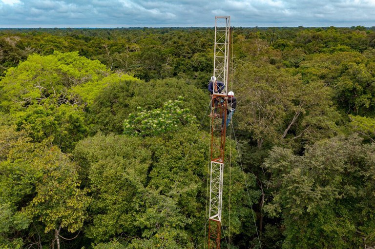 Várzea da Amazônia ganha primeira torre para monitorar gases de efeito estufa