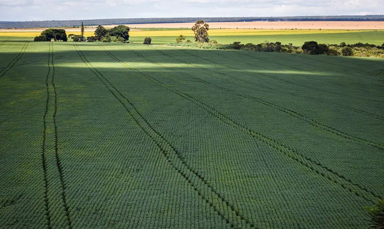 Brics Brasil discute momento de concertação e avanço em boas práticas na agricultura