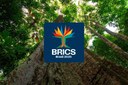 Cúpula do Brics será no Rio de Janeiro, em 6 e 7 de julho