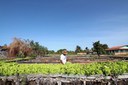Desenrola Rural pode beneficiar mais de 360 mil agricultores atendidos pelo Banco do Nordeste