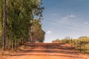 Governo lança Programa Nacional de Estradas Rurais para escoamento da produção agropecuária