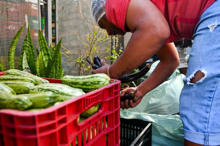 Adesão ao Sistema Nacional de Segurança Alimentar ultrapassa 1,5 mil municípios