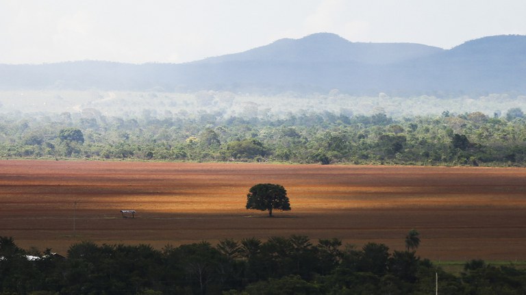 Governo cobra de infratores ambientais recuperação de 6,8 mil hectares em 5 biomas