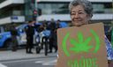 Anvisa fará consulta pública para atualizar regulamentação sobre uso de cannabis