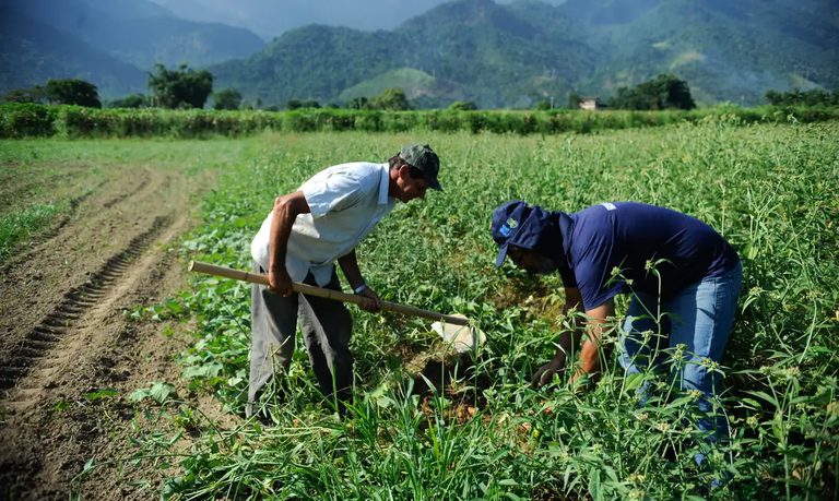 Garantia-Safra começa a ser pago a mais de 500 mil agricultores em todo o Brasil