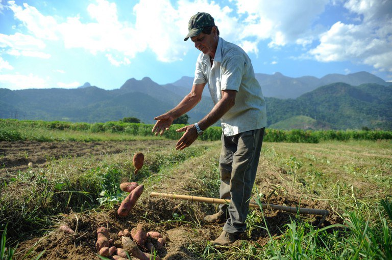 Governo Federal entrega mais de 12 mil lotes em 24 estados pelo programa Terra da Gente