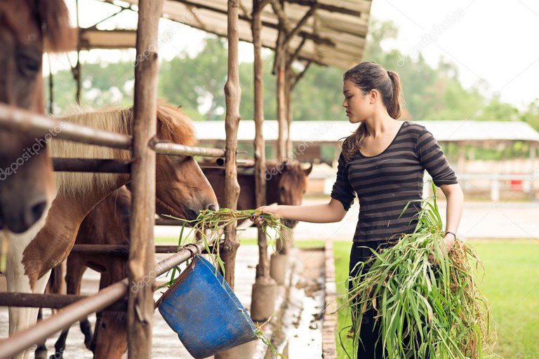 Mulheres contrataram R$ 8,7 bilhões do Fundo Nordeste em 2024, segundo a Sudene Mulheres contrataram R$ 8,7 bilhões do Fundo Nordeste em 2024, segundo a Sudene