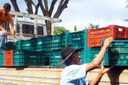 PAA: inscrição de projetos da agricultura familiar vai até 31 de março