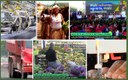 'Pibão', investimentos em reforma agrária e medidas para baratear alimentos: a Semana Gov. Assista