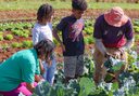 Políticas públicas brasileiras e Aliança Global são assunto em conferência sobre nutrição na França