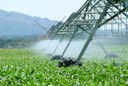 Mais áreas e produtividade: safra de grãos 24/25 será de 328,3 mi de toneladas, estima Conab