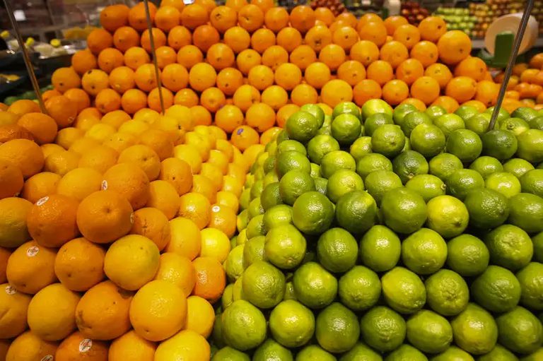 Índia abre o mercado para limão, laranja e tangerina brasileiros Índia abre o mercado para limão, laranja e tangerina brasileiros