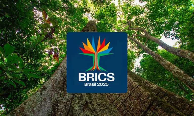 Brasil lança debate sobre Contratações Públicas Sustentáveis no Brics Brasil lança debate sobre Contratações Públicas Sustentáveis no Brics