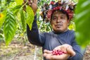 Governo compra alimentos produzidos por povos indígenas e doa nas próprias comunidades