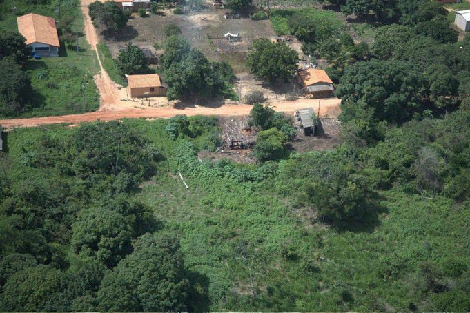 Operação Araribóia reforça segurança jurídica para ações em Terra Indígena no Maranhão Operação Araribóia reforça segurança jurídica para ações em Terra Indígena no Maranhão